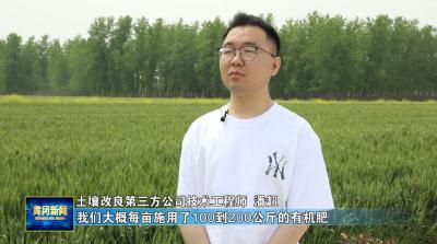 春耕系列观察 藏粮于地｜团风罗霍洲：高标准农田这样建成