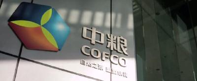 小岗位彰显大担当 ——记中粮粮油工业（黄冈）有限公司人力资源专员陈西