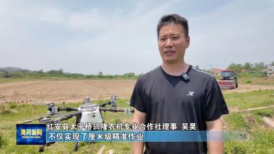 春耕系列观察 藏粮于技｜红安： “北斗智能农机” 破耕地困局 丘陵农田变智慧粮仓