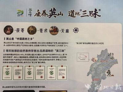英山中药材亮相2025世界品牌莫干山大会
