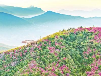英山文旅 “红绿古三色” 出圈