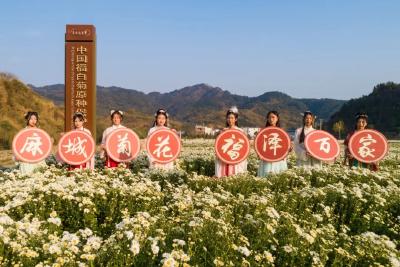 中医药产业黄冈专场活动即将举行