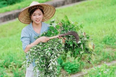 红安姑娘抖音卖油爆红！网友：第一次见这么飒的新农人