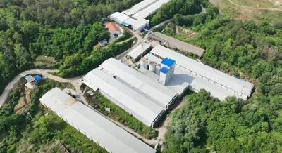 团风：父亲的养鸡场来了两个大学生：6年时间，传统养殖玩出