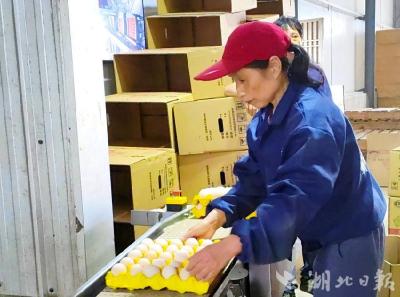 蕲春硬汉的“艾蛋蛋”年销1500万