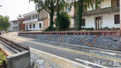 武穴市花桥镇柏树林村：“千万工程”绘就乡村振兴新画卷