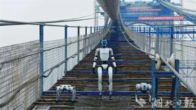 不惧百米高空强风，人形机器人在燕矶长江大桥走“猫道”