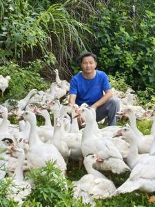 一只番鸭的产业链突围：周绪益的乡村振兴答卷