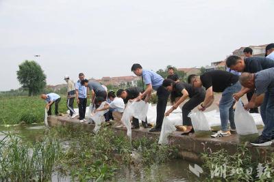 黄梅增殖放流51万余尾