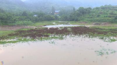 罗田三里畈镇：清理水库沟渠 保障汛期安全