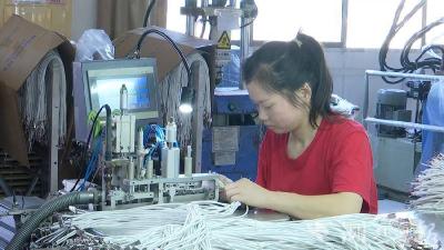 蕲春经济开发区：全链条服务助企纾困