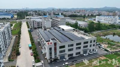 小城“绿电芯”引领新赛道  麻城香电新能源开辟电容锂电产业新局