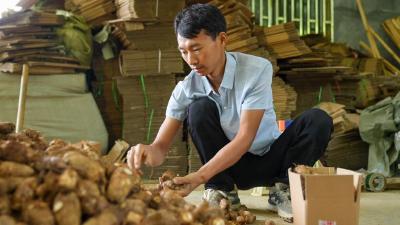 “新农人”共筑“兴农路”：走出大山的他回乡打造电商小镇