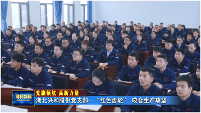 党旗领航·高新力量｜湖北兴和股份党支部：“红色齿轮” 咬合生产攻坚
