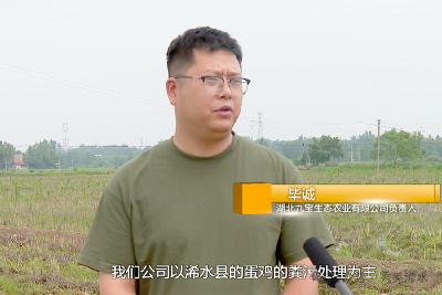 浠水：推进绿色种养循环农业高质量发展