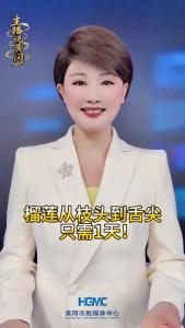 榴莲从枝头到舌尖 只需1天