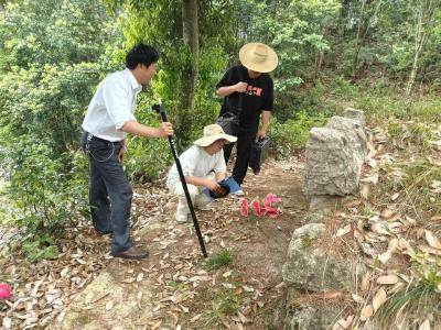 从“门外汉”到“活字典”——英山县博物馆副馆长郑桂良的26载文物情