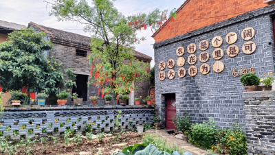 上桂村：文明新风漾花海 绘就“景村”融合新画卷