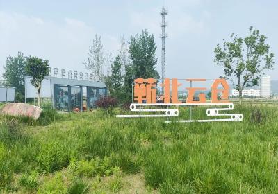 从“提篮小卖”起步 让农副产品组团出海  