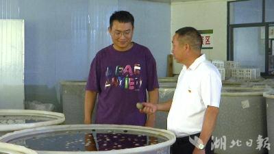 蕲春黄土村：党建引领强服务，产业兴旺村民富