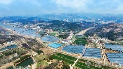 从老大难到绿富美，这个合并村靠“党建密码”逆袭