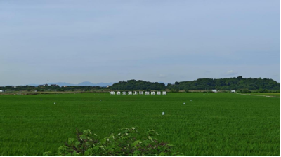 给稻田装上