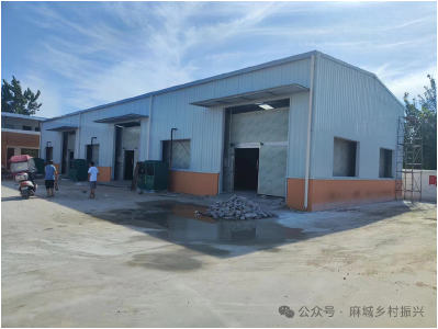 麻城加快建设12座田间工坊 畅通农产品出村“最初一公里”