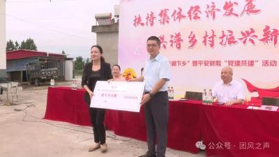 20万元专项帮扶金为薛坳村产业赋能