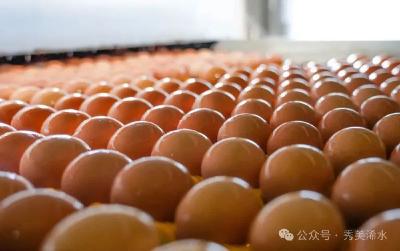 我市9个“特色之乡”成功入选