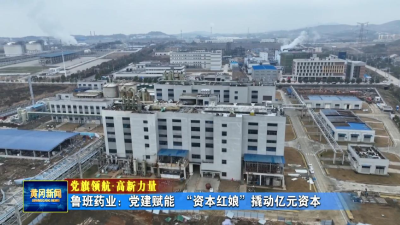 党旗领航·高新力量｜鲁班药业：党建赋能 “资本红娘”撬动亿元资本