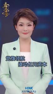 党旗领航 撬动亿元资本