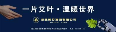 从会议室到田间地头的距离，向桥乡这样走通