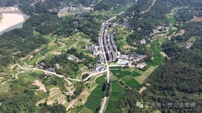 罗田平湖乡：深耕“三乡”建设支点 书写乡村振兴平湖篇章
