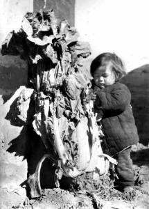 自己动手，丰衣足食