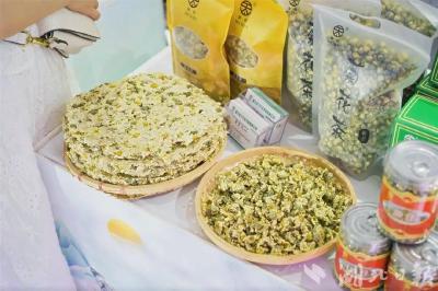 麻城福白菊压轴登场 黄冈优质农产品推介活动圆满落幕