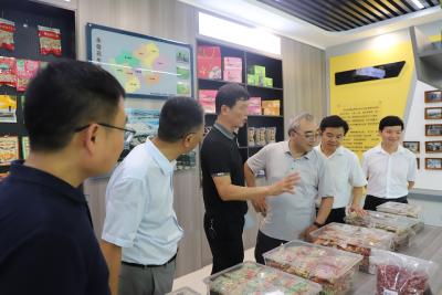 农业高质量发展！张新友院士调研黄冈花生产业 强调全链条协同推动高质量发展