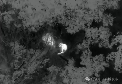 深山寻踪！多部门联动 两名走失老人成功获救 