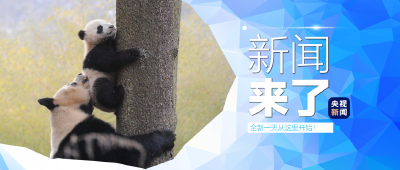 央视新闻！新闻来了〔2025.08.12〕