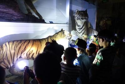 夜宿博物馆一票难求