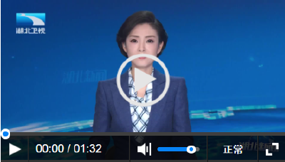 湖北实验室发布30项亮点科技成果