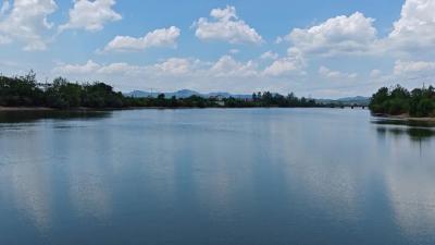 仙人坝→荆竹！花桥镇紧急提水解五千余亩高位田灌溉难题