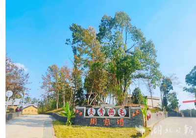 “三资”盘活强根基 产业融合促振兴 ——浠水县洗马镇燕毛咀村的集体经济发展实践