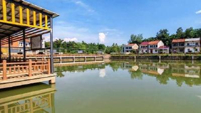 黄梅镇观塘岭村：建设清廉村居 激活乡村发展新动能