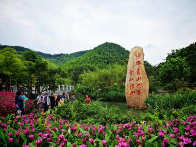 青山常在路更长