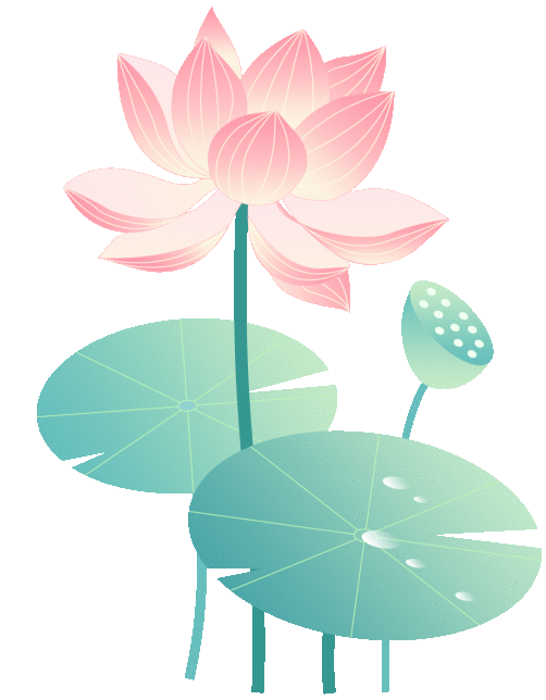 黄梅：一座小院托起藕塘村的盛夏丰年