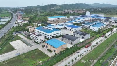 稻花香里话振兴：团风“新农人”罗俊的创业故事