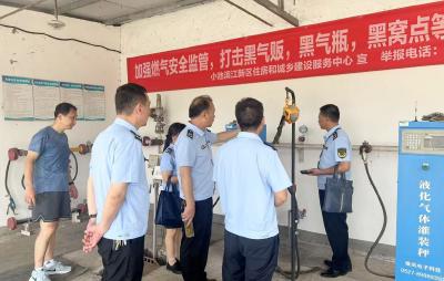 黄梅县开展夏季“三品一特”安全交叉大检查