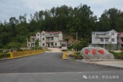 罗田县凤山镇合家畈社区筹资百万建新桥 群众出行更安心