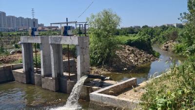 抗旱保丰收丨黄梅镇向窑村：四级提水引甘霖高位农田润新绿