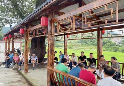 从“零”到“44万”！团风一个村支书的“绿色账单”